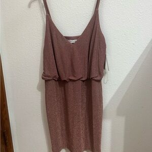 Xtraordinary Dusty Rose Dress